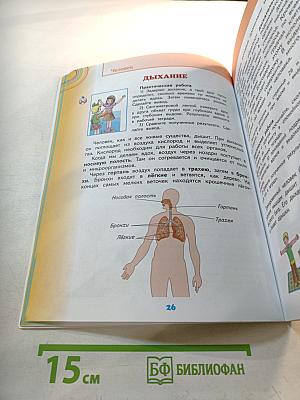 Окружающий мир, 3 класс, Часть 2