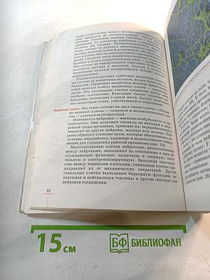 Биология. Человек. 8 класс