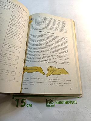 Основы кулинарии для 8-11 классов