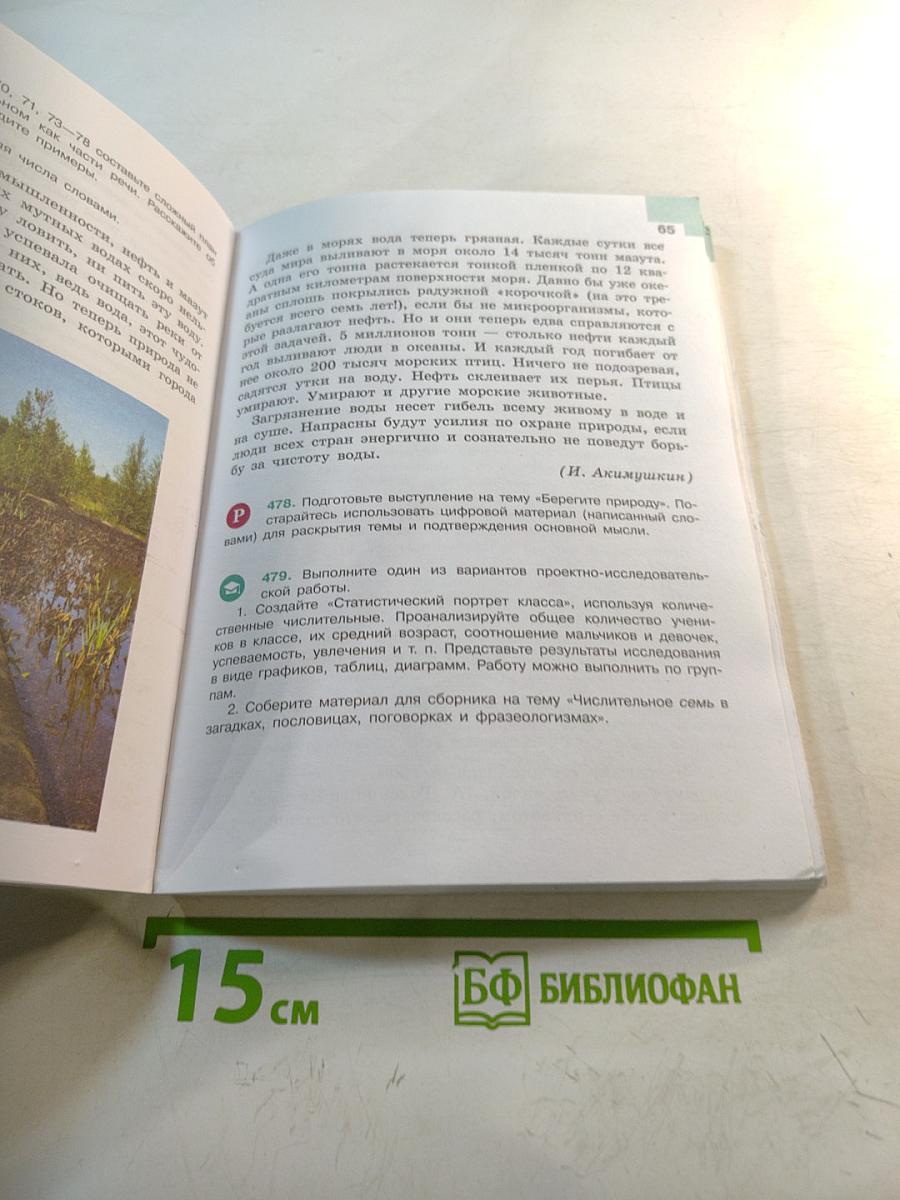 Русский язык 6 класс. Часть 2