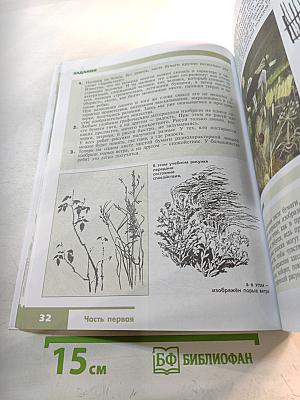 Изобразительное искусство. Искусство в жизни человека. 6 класс