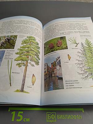 Биология 5 класс