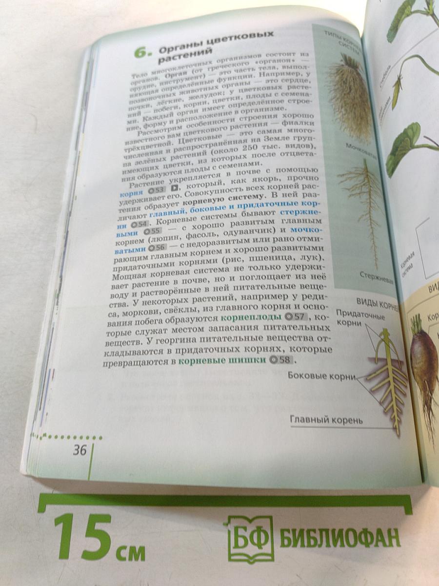 Биология, 6 класс