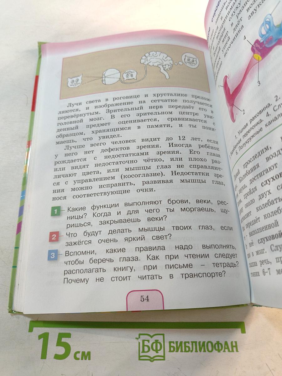 Окружающий мир 3 класс. Часть вторая