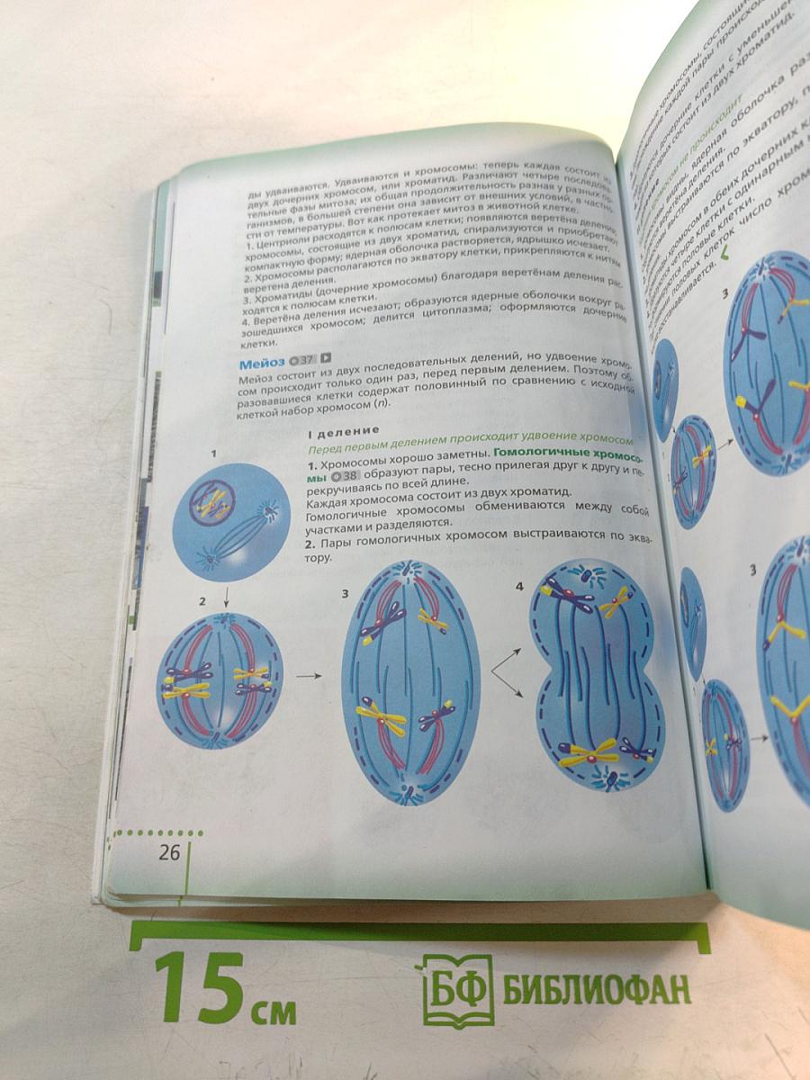Биология для 6 класса
