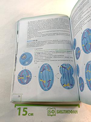 Биология для 6 класса