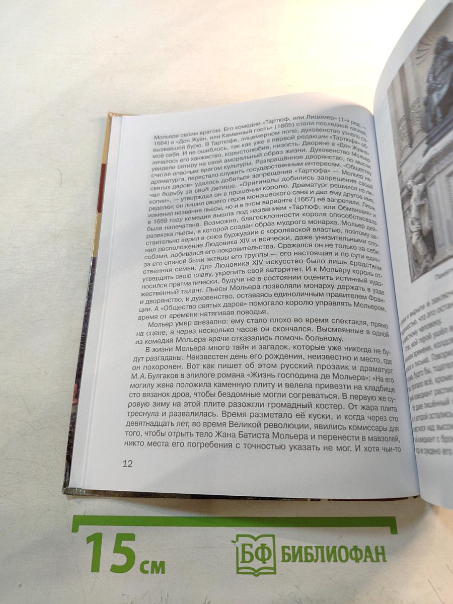 Литература. Учебник для 8 класса. Часть 2