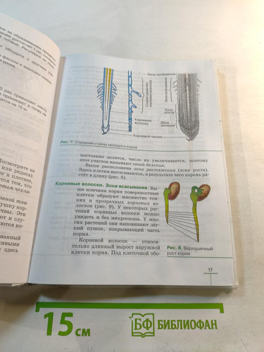 Биология. Многообразие покрытосеменных растений. 6 класс