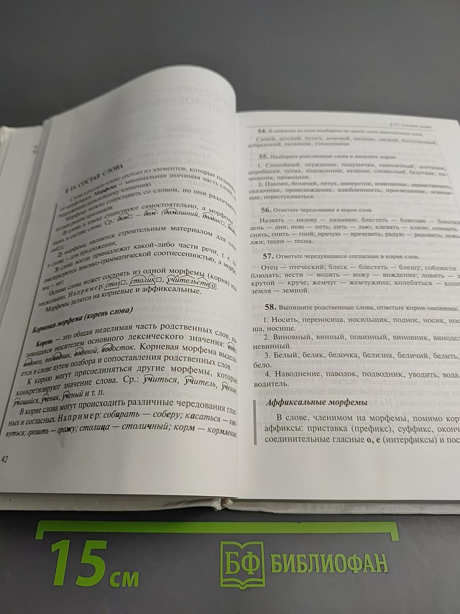 Русский язык 10-11 классы