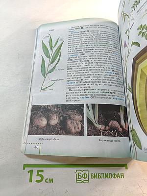 Биология, 6 класс