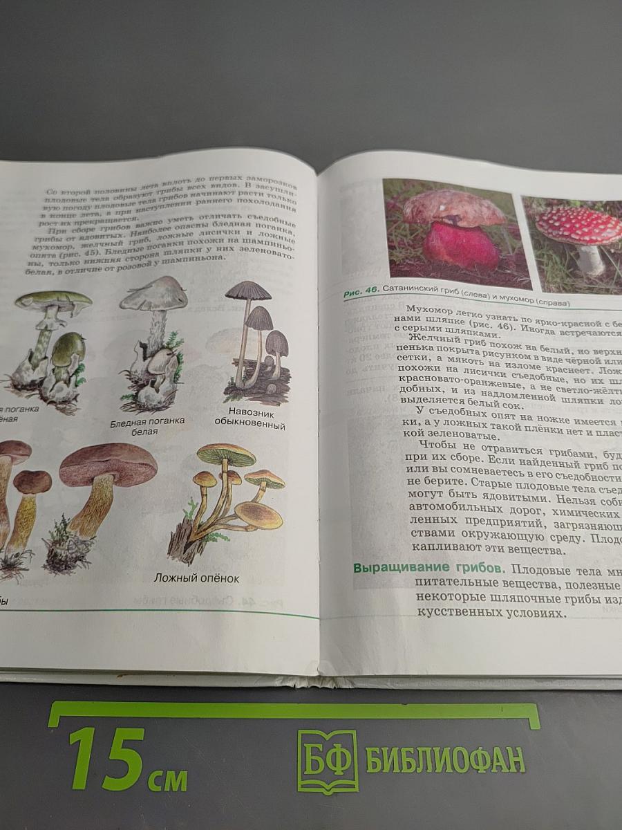 Биология. Бактерии, грибы, растения 5 класс