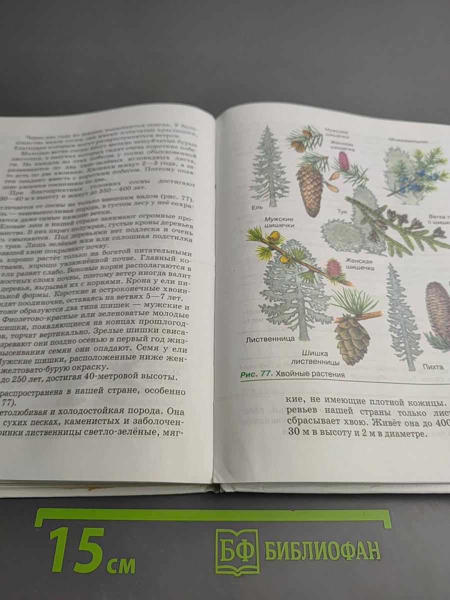 Биология. Бактерии, грибы, растения 5 класс