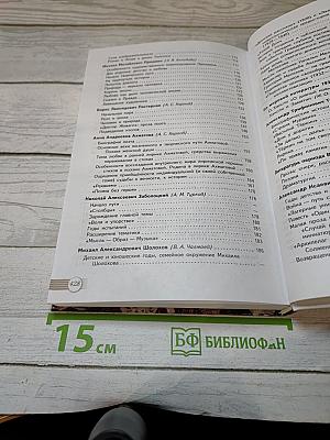 Русский язык. Литература. 11 класс. В двух частях. Часть 2