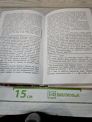 Русский язык. Литература. 11 класс. В двух частях. Часть 2