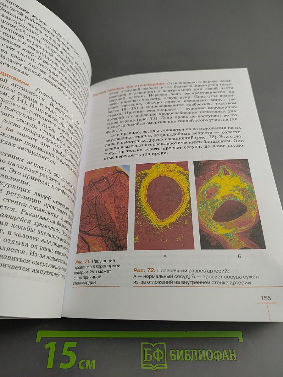 Биология. Человек. 9 класс