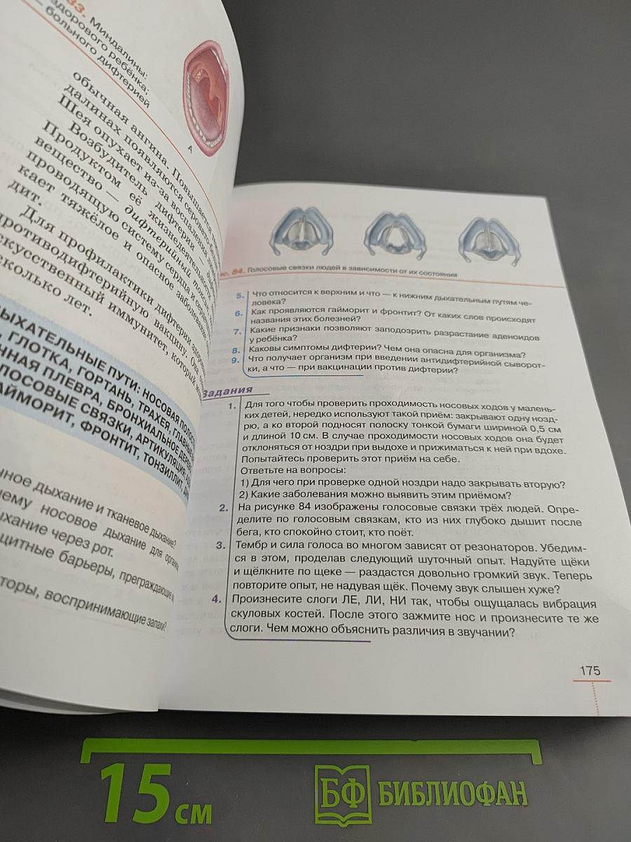 Биология. Человек. 9 класс