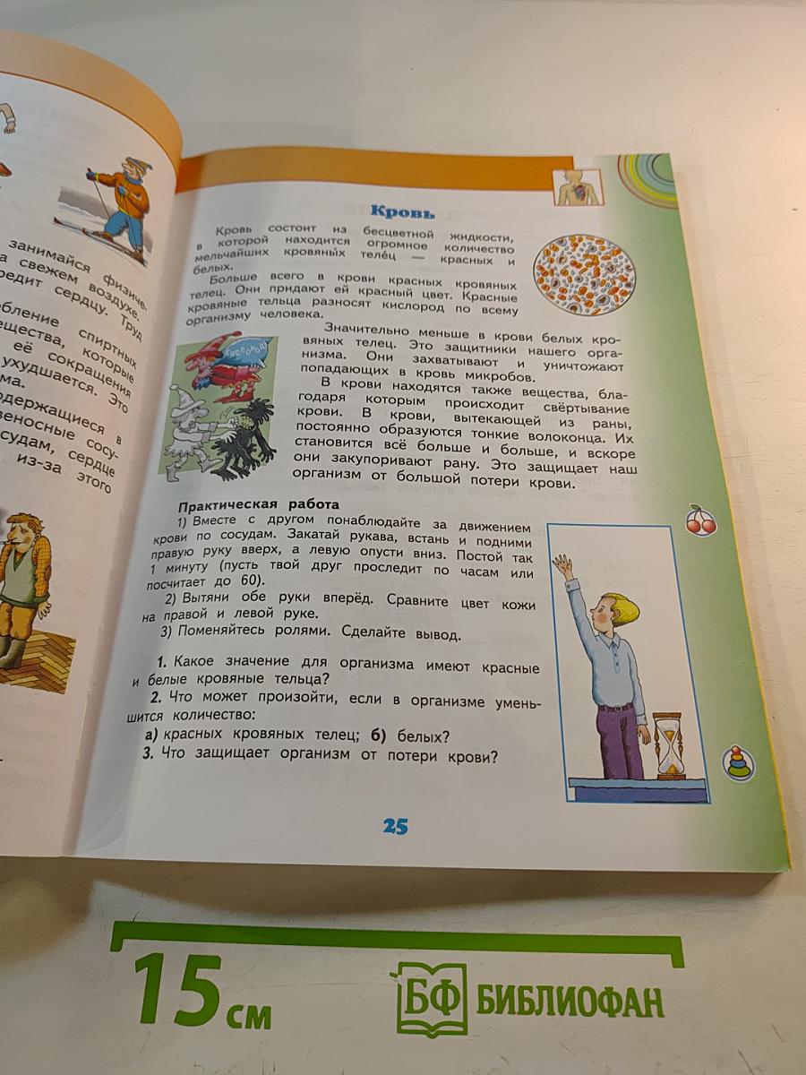 Окружающий мир 3 класс Часть 2