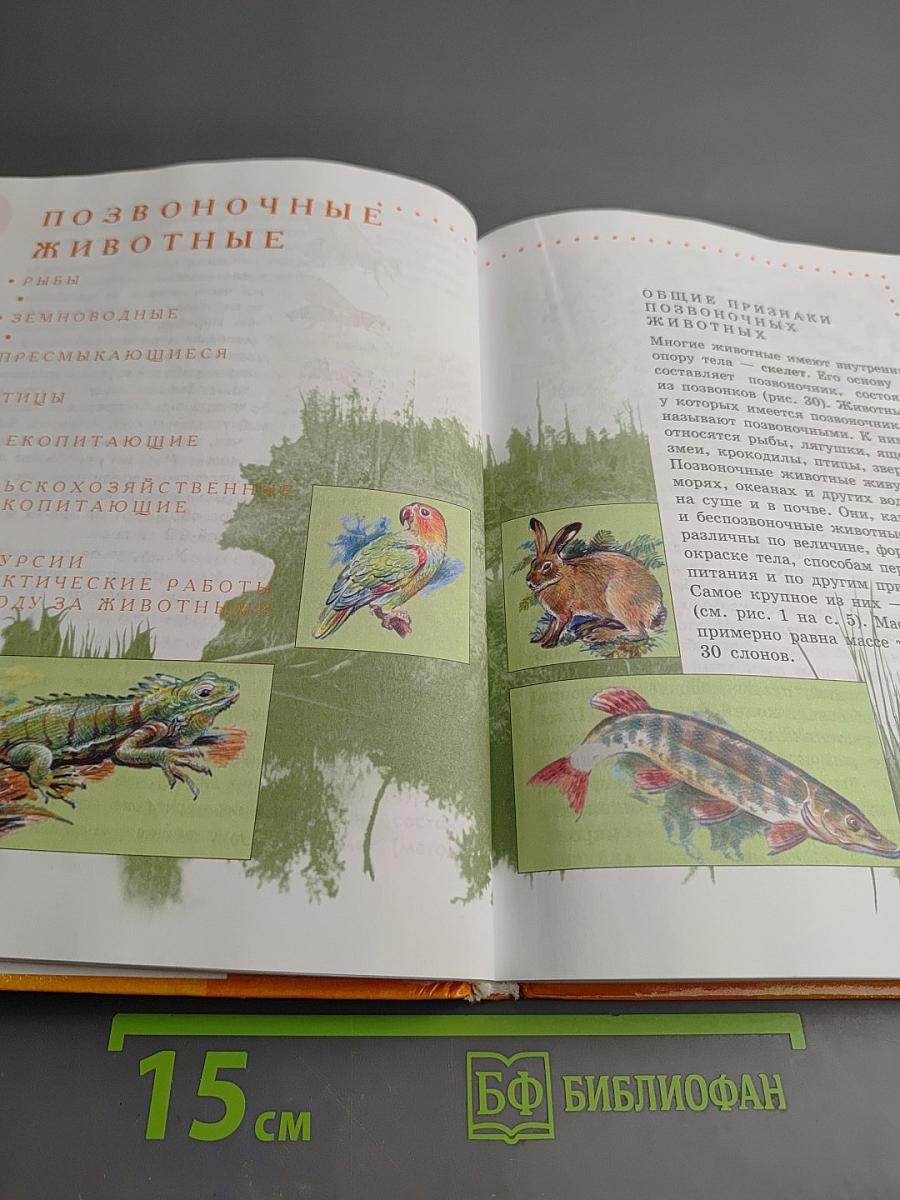 Биология. Животные. 8 класс