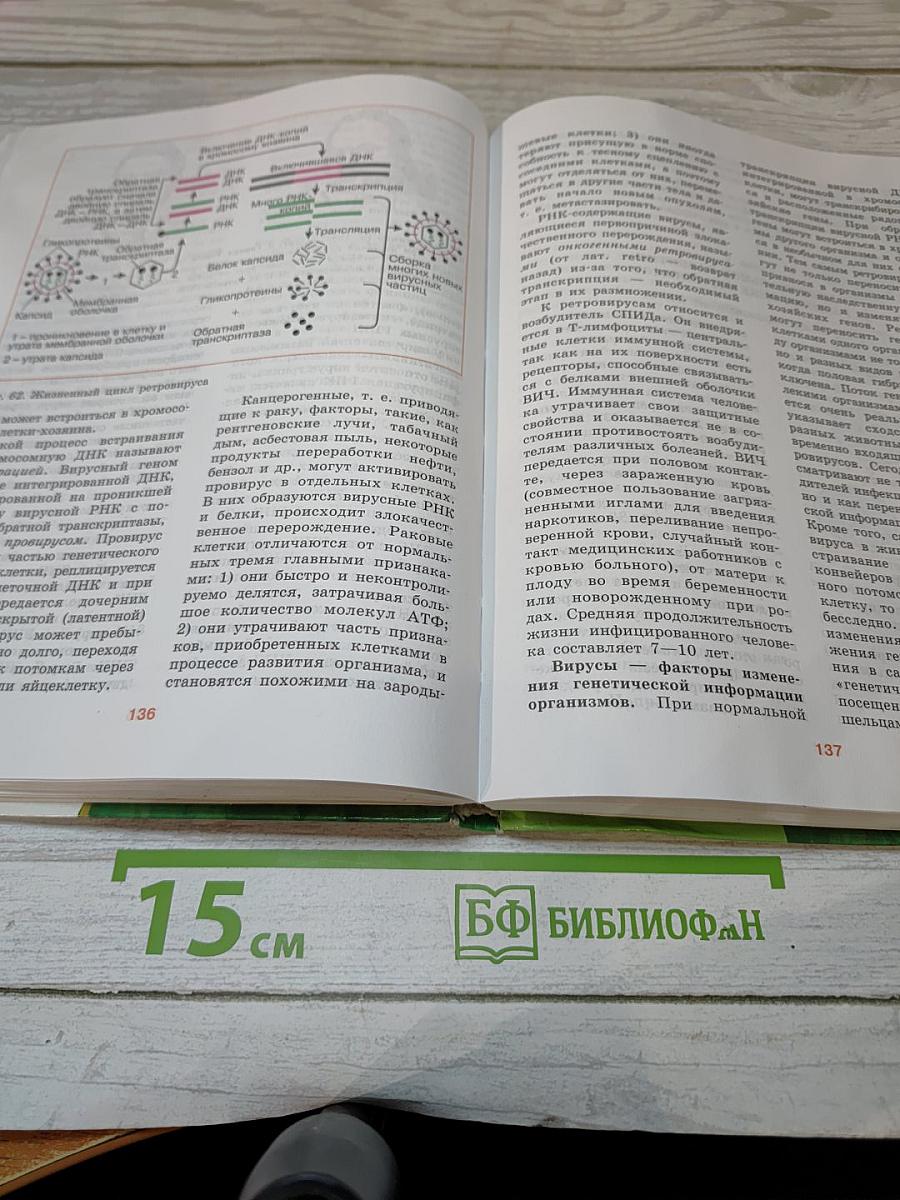 Биология. Общая биология. 10-11 классы. Часть 1