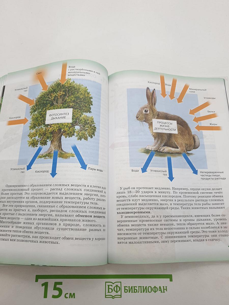 Биология. Живой организм