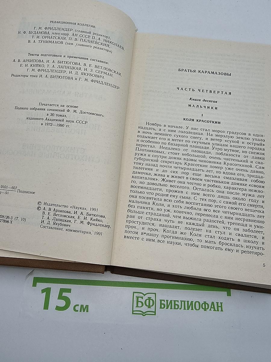 Собрание сочинений Ф. М. Достоевского. Том десятый