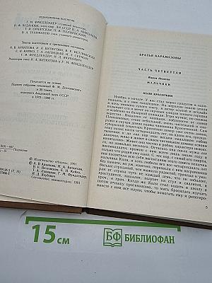 Собрание сочинений Ф. М. Достоевского. Том десятый
