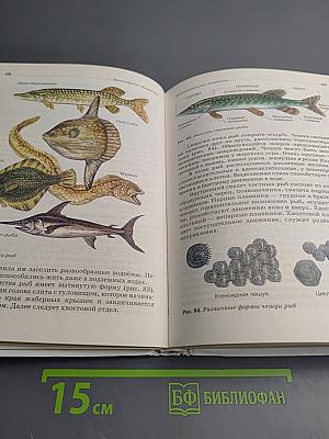 Биология. Животные. 7 класс