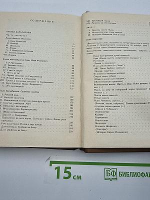 Собрание сочинений Ф. М. Достоевского. Том десятый