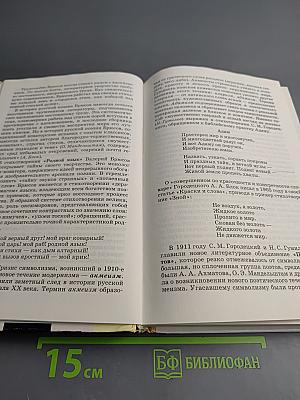 Литература 11 класс. Часть 1. Учебник