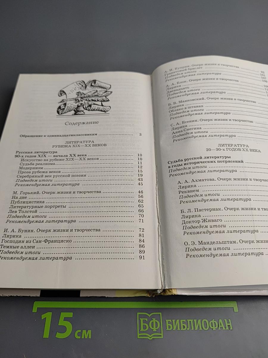 Литература 11 класс. Часть 1. Учебник