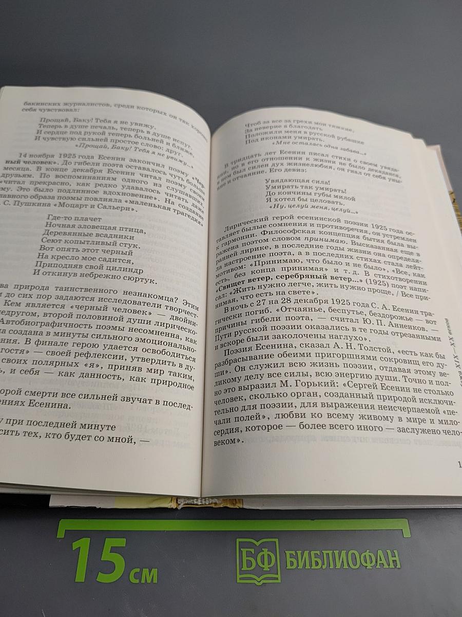 Литература 11 класс. Часть 1. Учебник