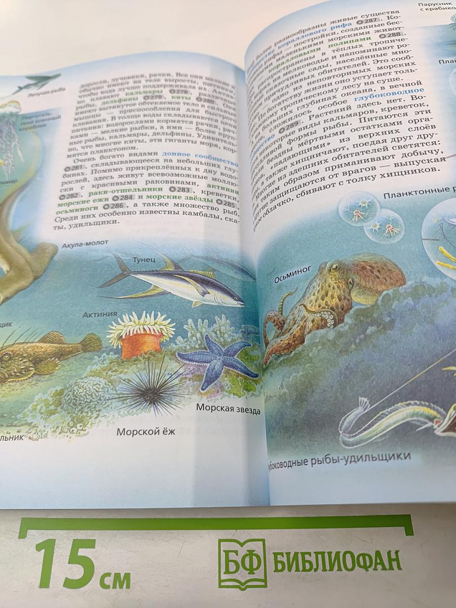 Биология. 5 класс