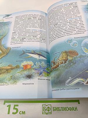 Биология. 5 класс