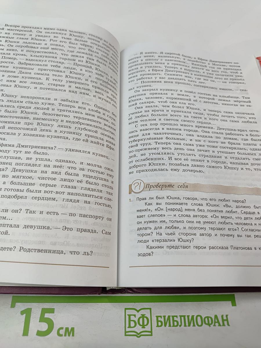 Литература. 7 класс. Часть 2