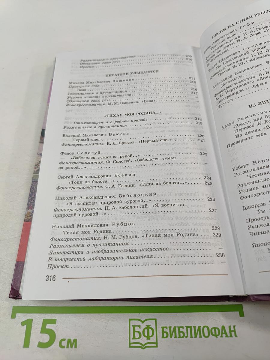 Литература. 7 класс. Часть 2