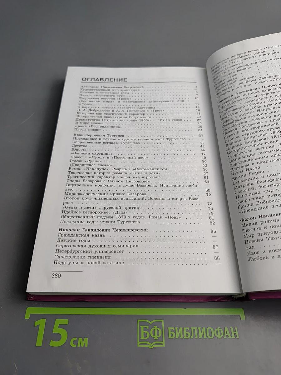 Литература 10 класс, Часть 2