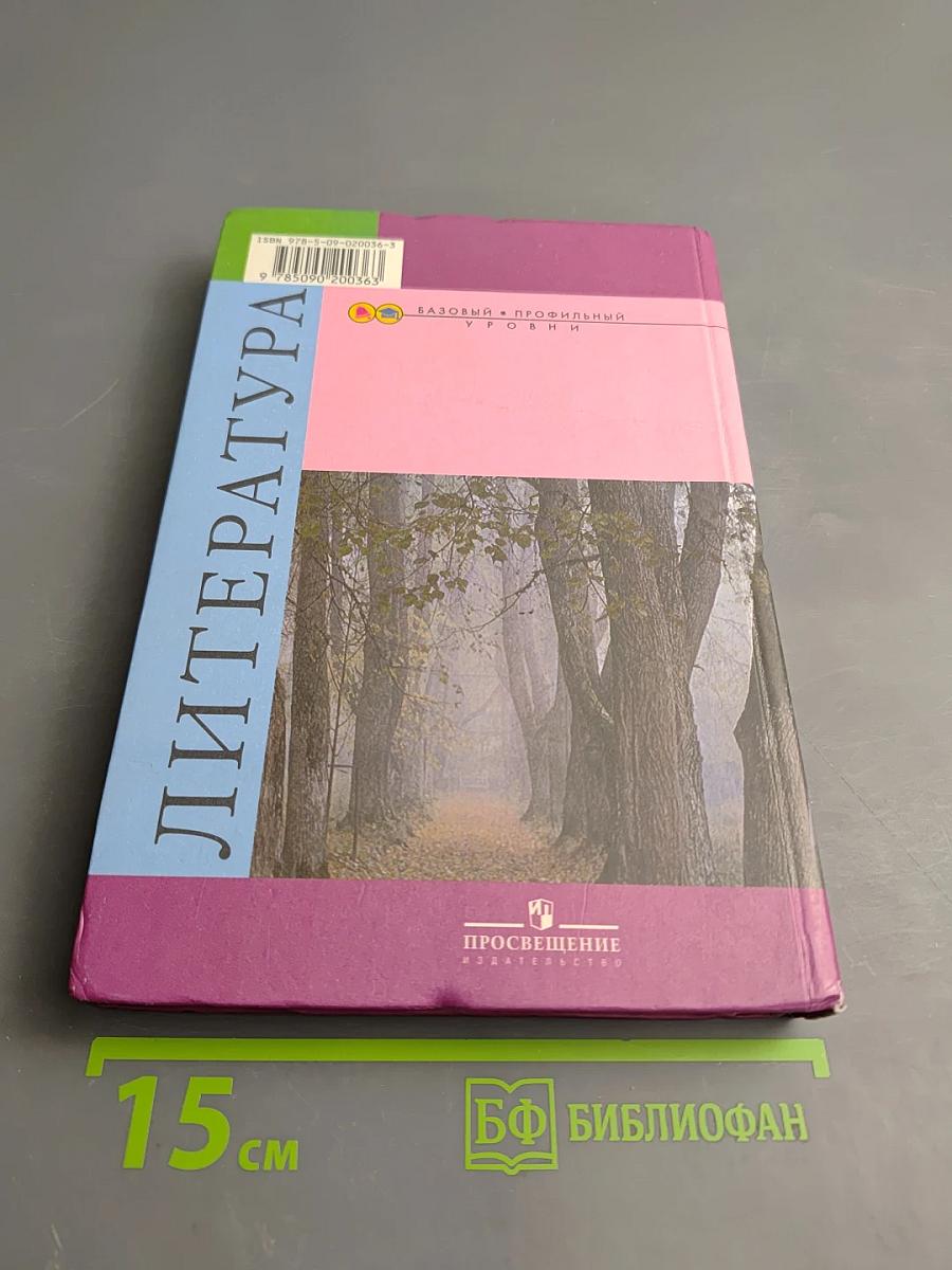 Литература 10 класс, Часть 2