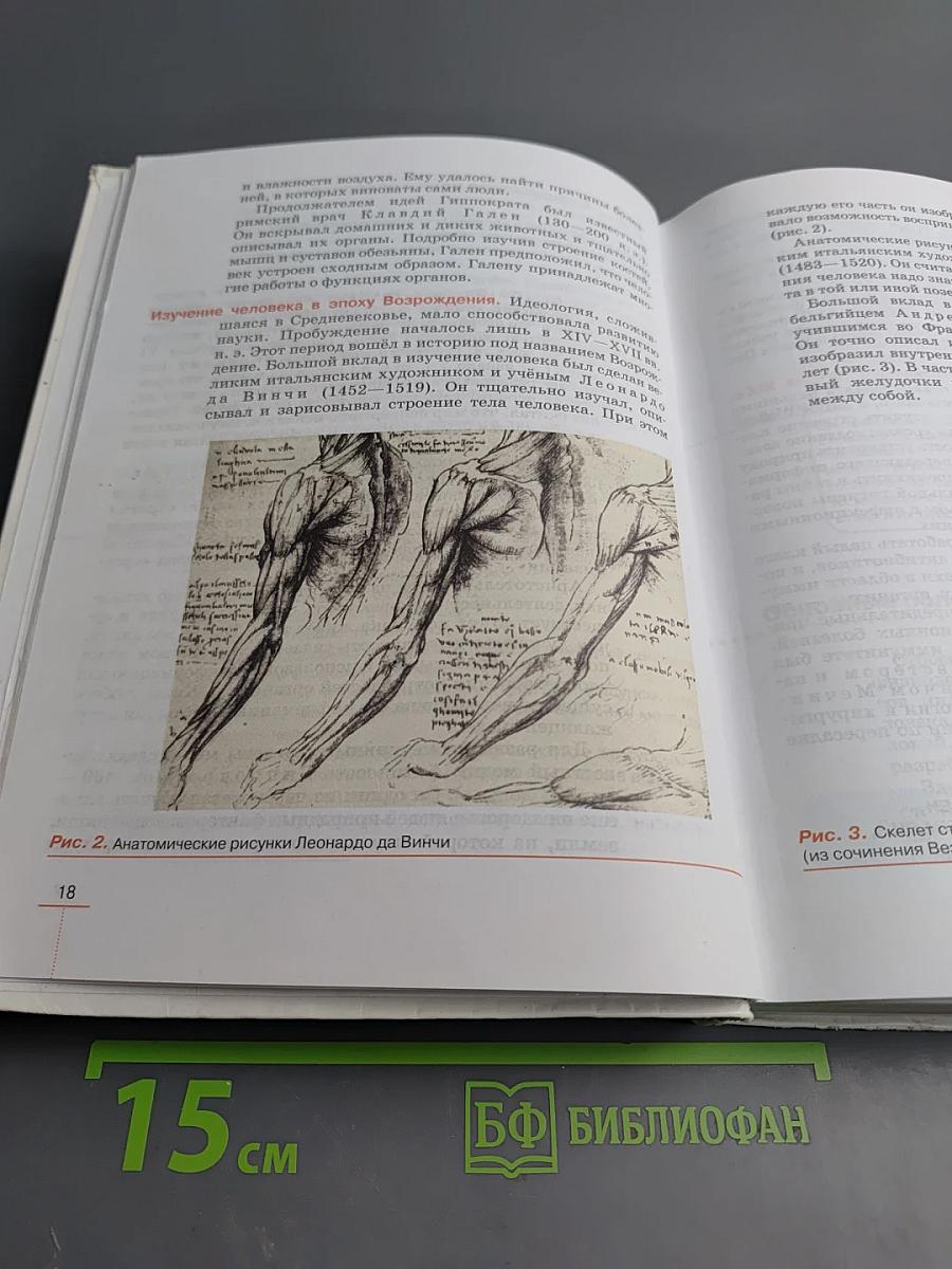 Биология. Человек. 8 класс