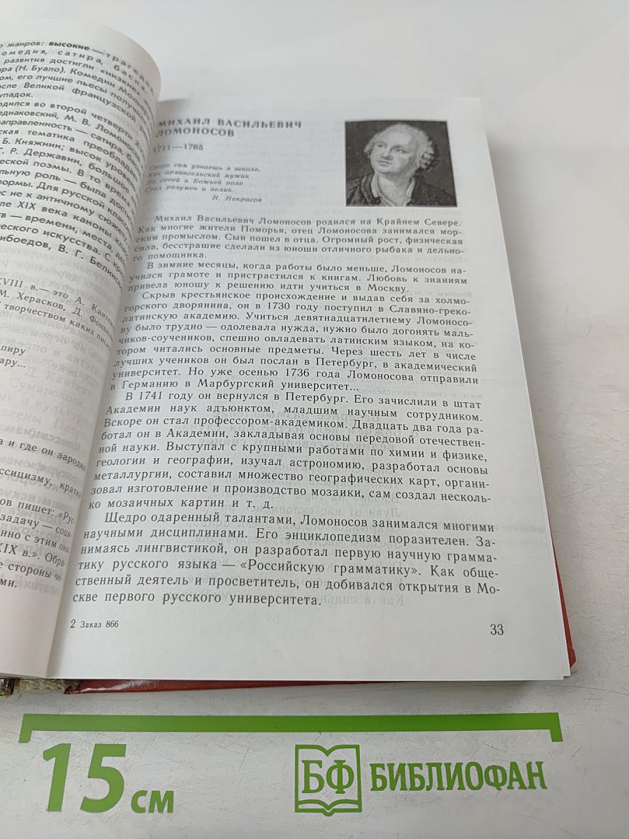 Литература. 9 класс