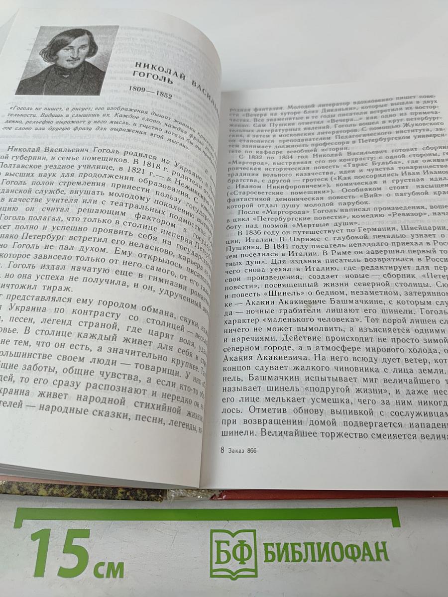 Литература. 9 класс