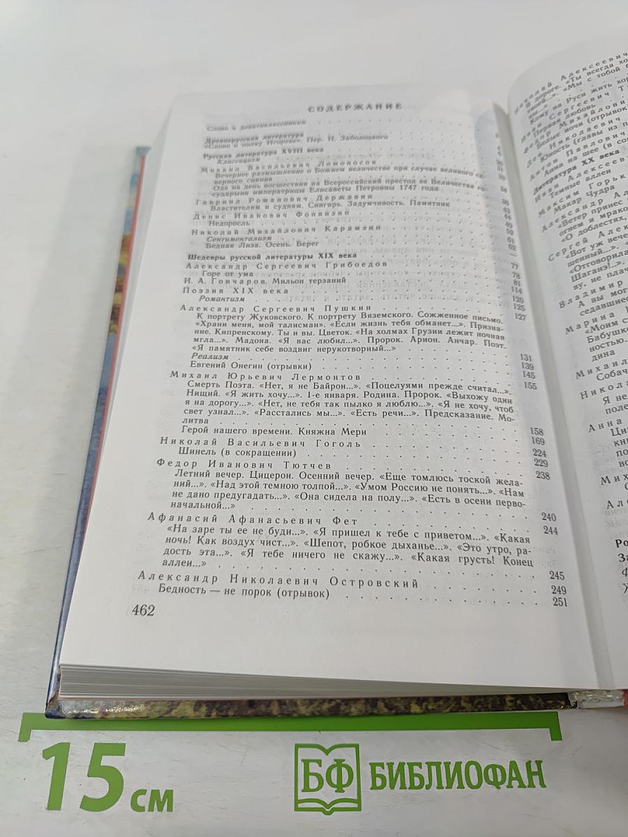 Литература. 9 класс