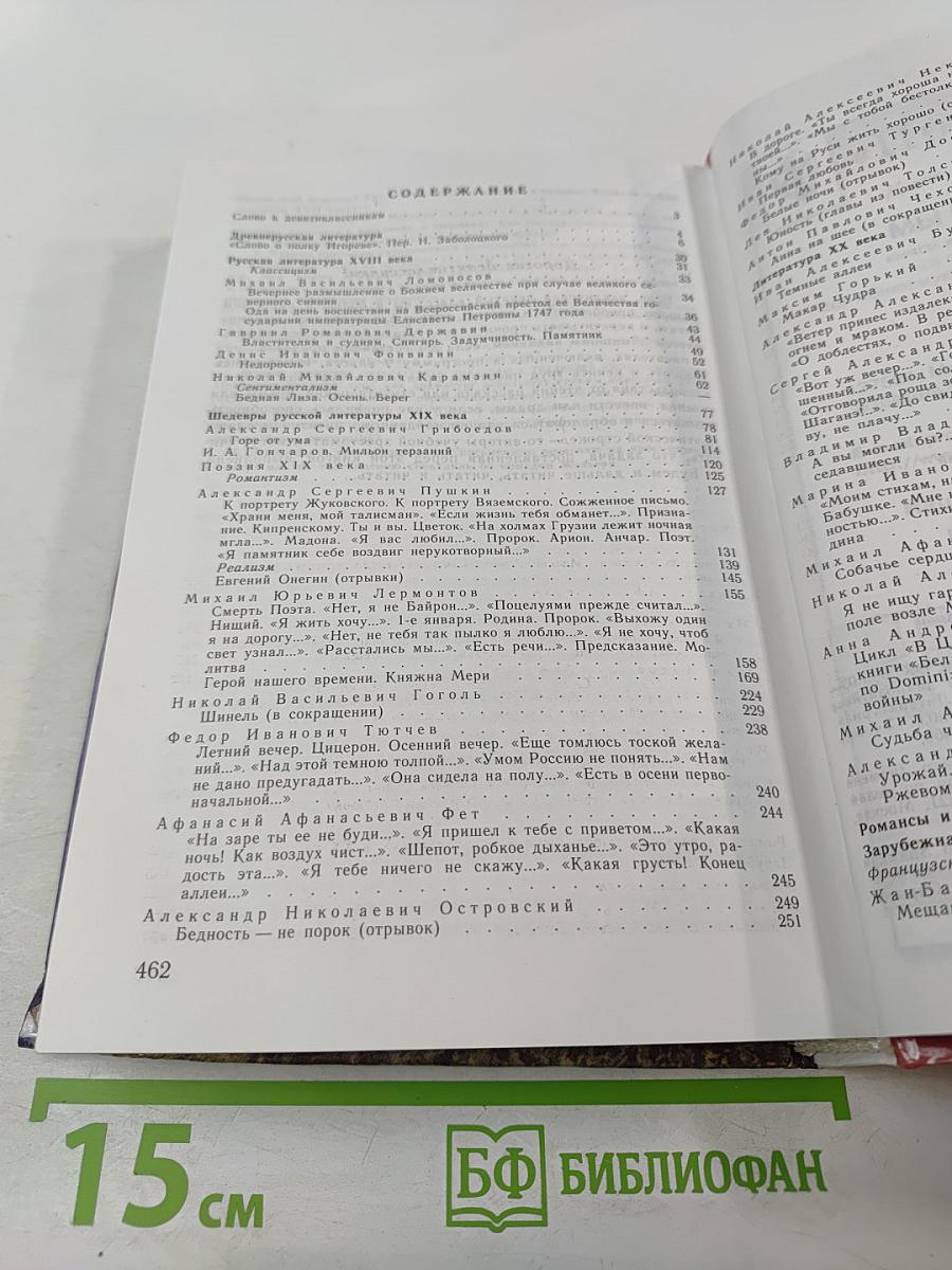 Литература 9 класс