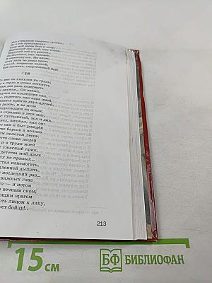 Литература. Учебник для 8 класса. Часть 2