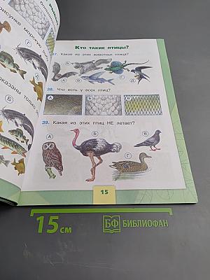 Окружающий мир. Тесты 1 класс