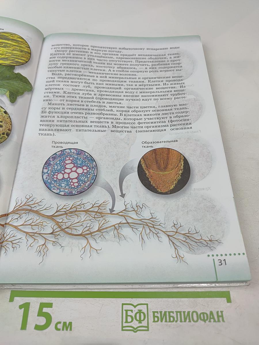 Биология. Живой организм. 6 класс