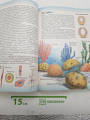 Биология. Многообразие живых организмов