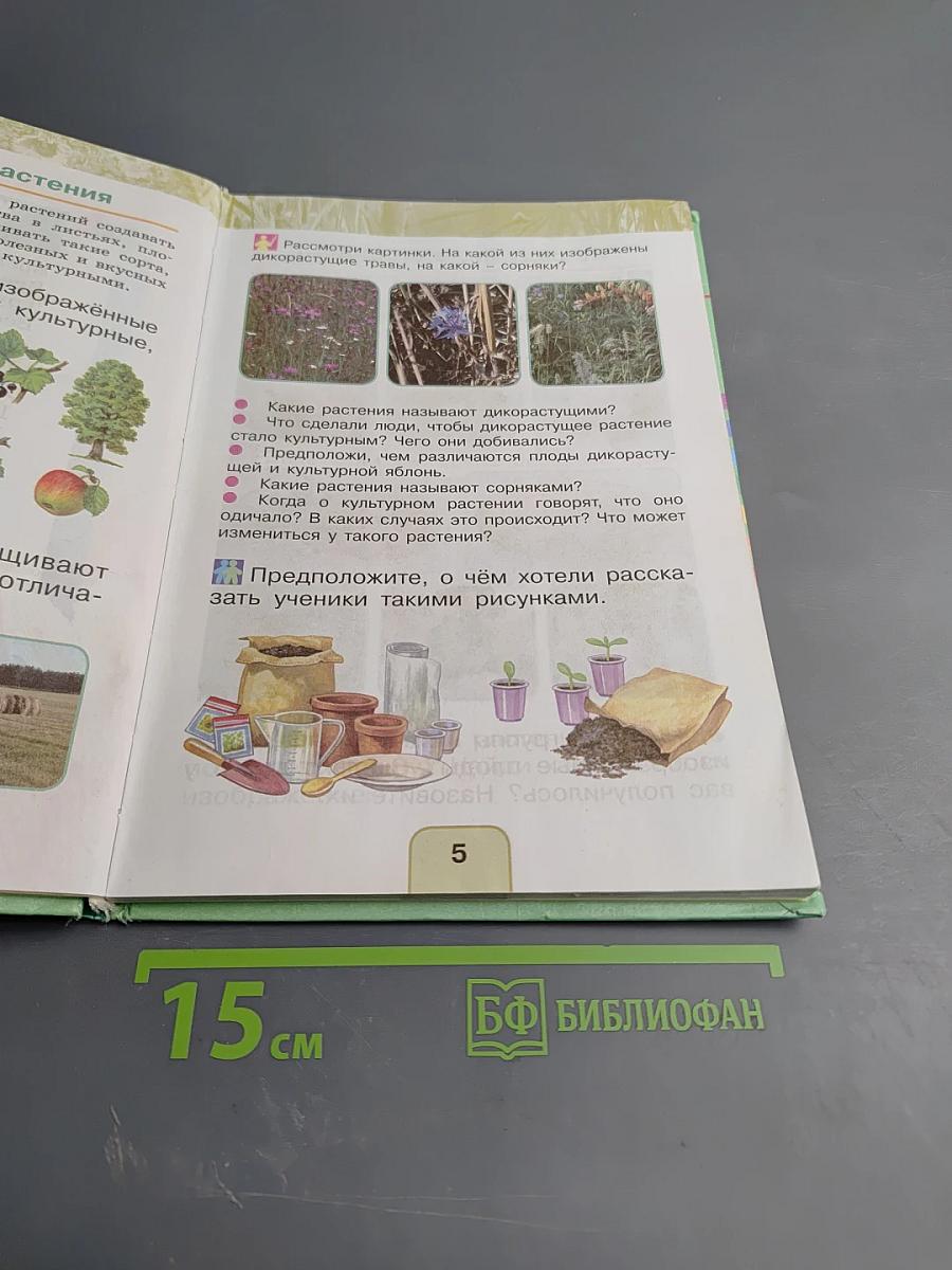 Окружающий мир 1 класс Часть вторая