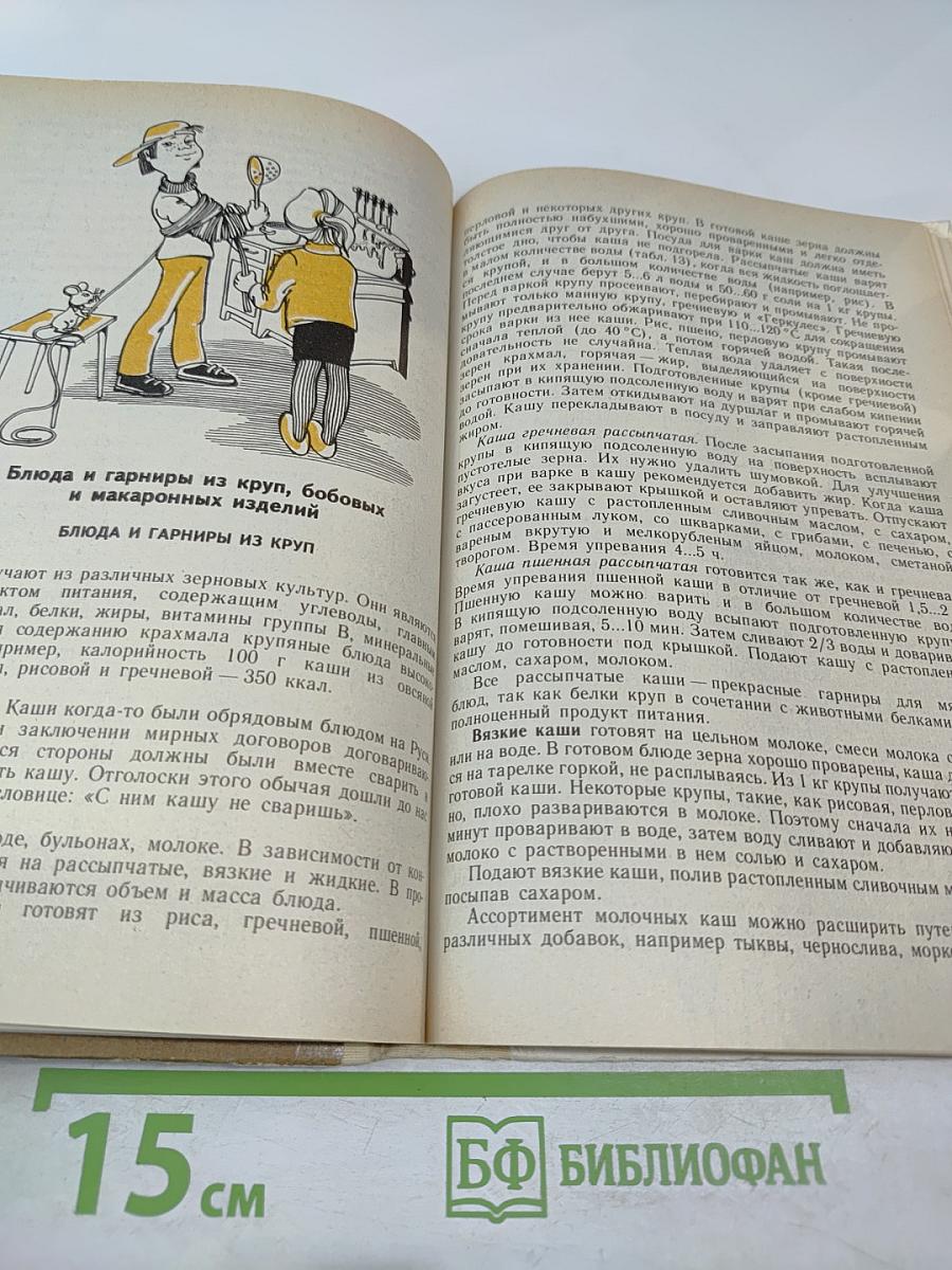 Основы кулинарии. Учебное пособие для учащихся 8-11 классов средней школы