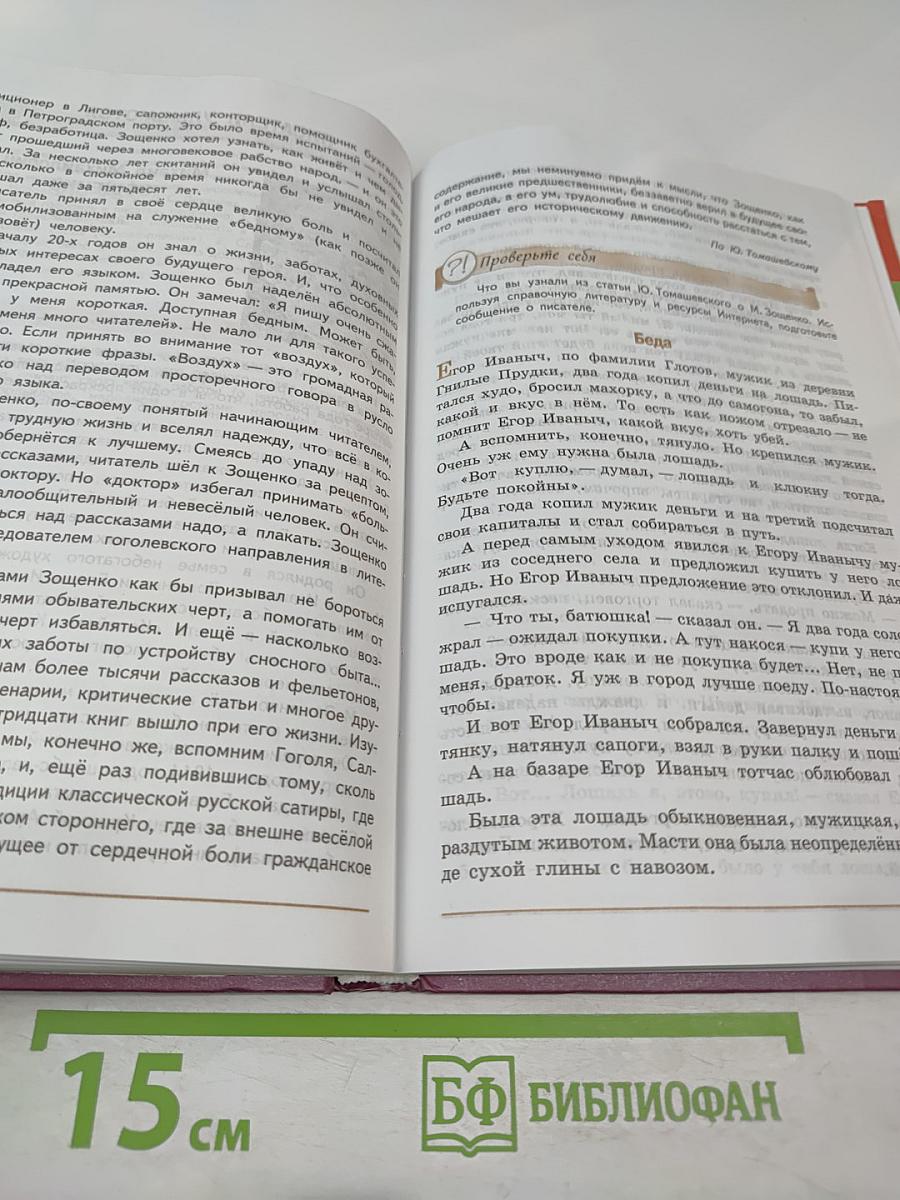 Литература. 7 класс. Часть 2