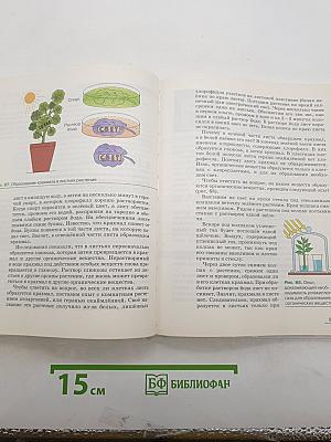 Биология. Многообразие покрытосеменных растений